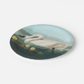 Assiettes En Carton cygne audubon cygnes d'eau blanche (Angle)