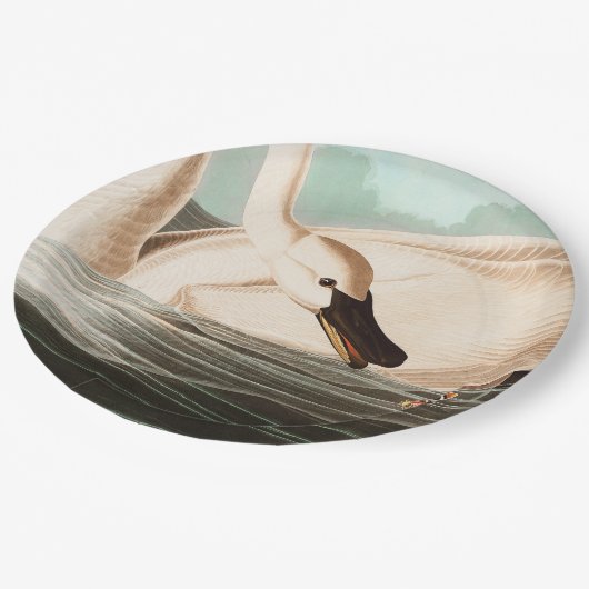 Assiettes En Carton Cygne trompette et papillon (Angle)