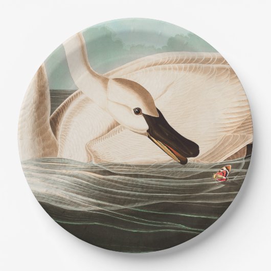 Assiettes En Carton Cygne trompette et papillon (Devant)
