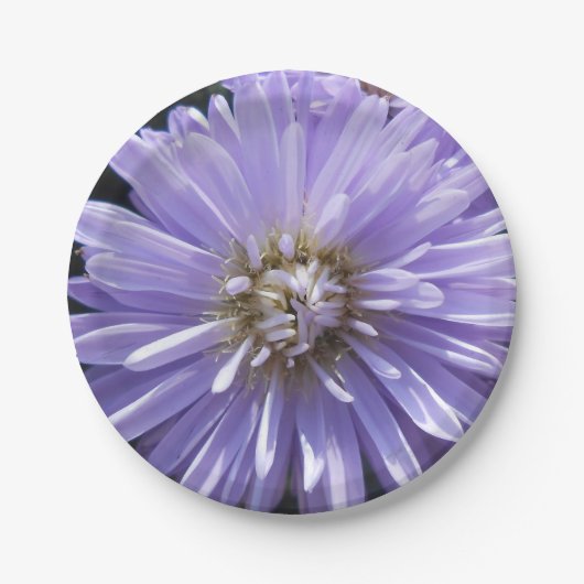 Assiettes En Carton Cyrène (Devant)