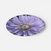 Assiettes En Carton Cyrène (Angle)