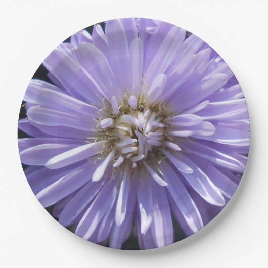 Assiettes En Carton Cyrène (Devant)