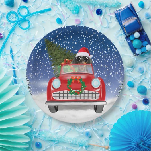 Assiettes En Carton Dachshund Chien Conduite Voiture En Noël De Neige (Fête)