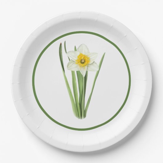 Assiettes En Carton Daffodil Fleur Bordé Art Botanique (Devant)