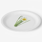 Assiettes En Carton Daffodil Fleur Botanique (Angle)