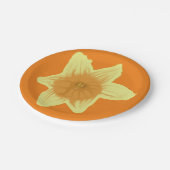 Assiettes En Carton Daffodile (Angle)