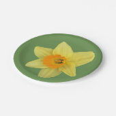 Assiettes En Carton Daffodique de printemps jaune (Angle)