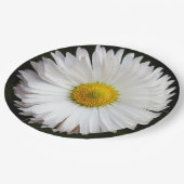 Assiettes En Carton Daisy (Angle)