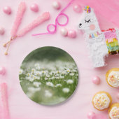 Assiettes En Carton Daisy Meadow (Fête)