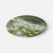 Assiettes En Carton Daisy Meadow (Angle)