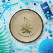 Assiettes En Carton Dandelion Sur Vieux Papier (Fête)