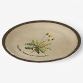 Assiettes En Carton Dandelion Sur Vieux Papier (Angle)