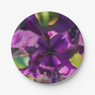Assiettes En Carton Dans une Iris