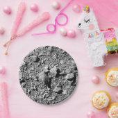 Assiettes En Carton DART Dimorphos Asteroid Moonlet Surface (Fête)