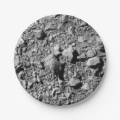 Assiettes En Carton DART Dimorphos Asteroid Moonlet Surface (Devant)