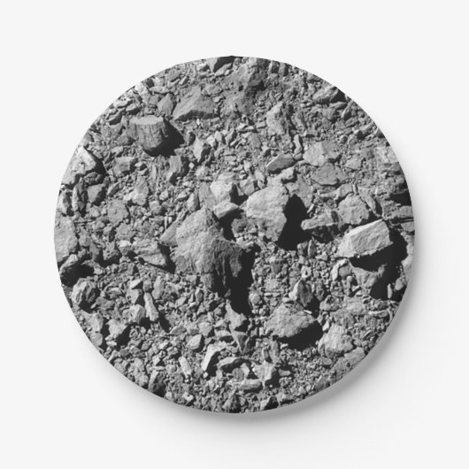 Assiettes En Carton DART Dimorphos Asteroid Moonlet Surface (Devant)