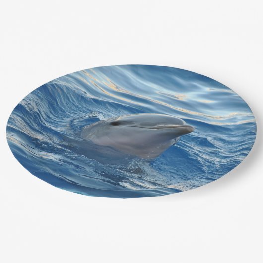 Assiettes En Carton Dauphin (Angle)