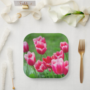 Assiettes En Carton De mignonnes tulipes écarlate dans le jardin