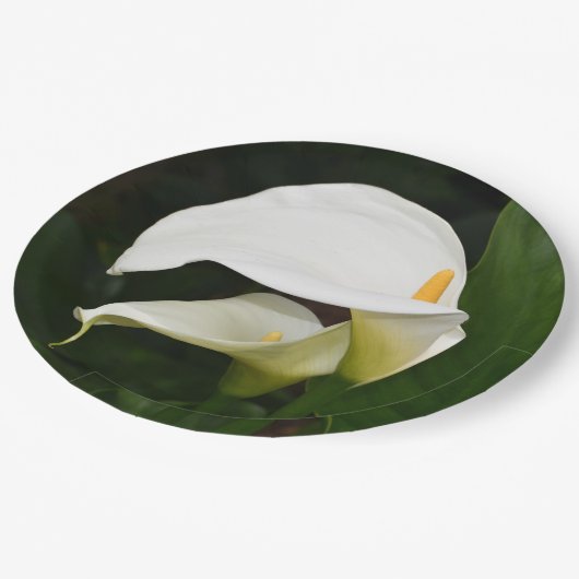 Assiettes En Carton Deux Lys Calla Blanche Floral (Angle)