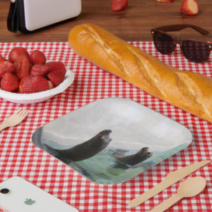 Assiettes En Carton Deux phoques regardant en haut près du mur
