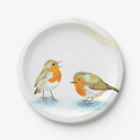 Assiettes En Carton Deux Robins rouges en hiver (Devant)