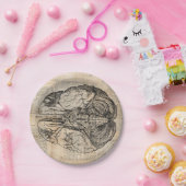 Assiettes En Carton Diagramme de cerveau antique Art ancien (Fête)