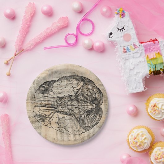 Assiettes En Carton Diagramme de cerveau antique Art ancien (Fête)