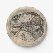 Assiettes En Carton Diagramme de cerveau antique Art ancien (Devant)