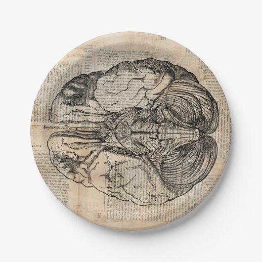 Assiettes En Carton Diagramme de cerveau antique Art ancien (Devant)