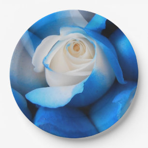 Assiettes En Carton Diemudis