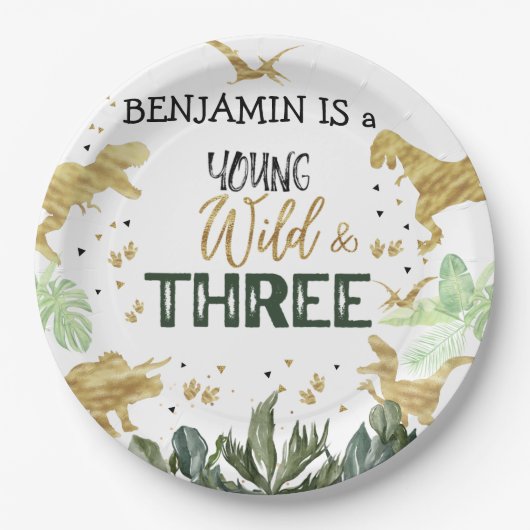Assiettes En Carton Dinosaur 3ème anniversaire garçon fête (Devant)