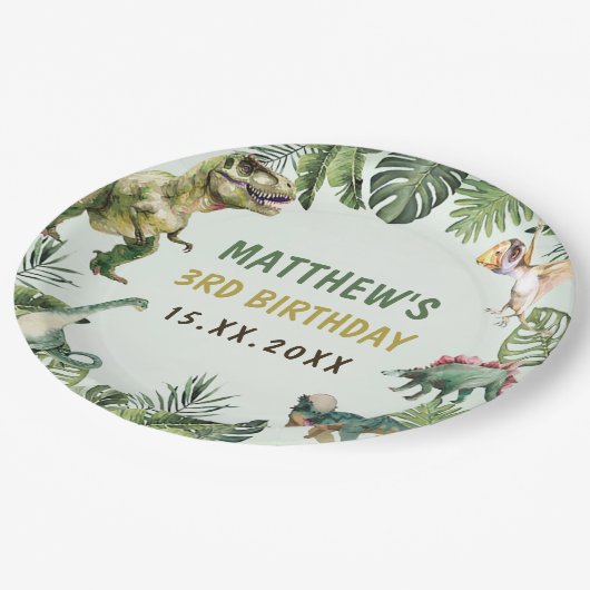 Assiettes En Carton Dinosaur Boy 3e fête d'anniversaire (Angle)