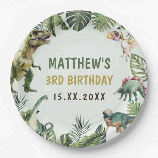 Assiettes En Carton Dinosaur Boy 3e fête d'anniversaire (Devant)