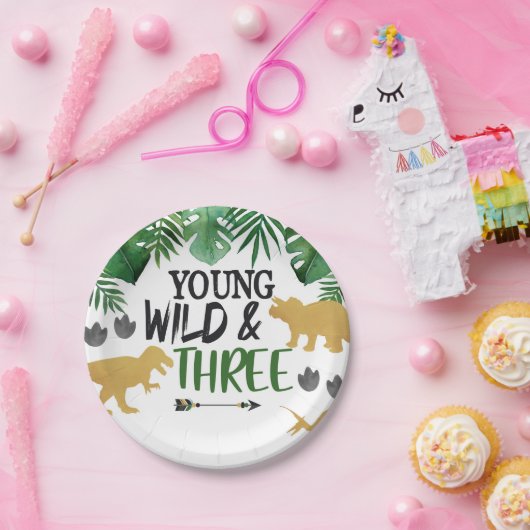 Assiettes En Carton Dinosaur Young Wild Trois Plaques de fête d'annive (Fête)