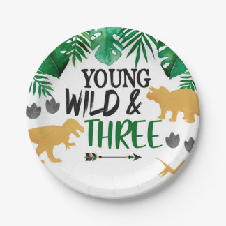 Assiettes En Carton Dinosaur Young Wild Trois Plaques de fête d'annive