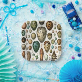 Assiettes En Carton Divers types d'Oeuf Illustration scientifique (Fête)