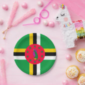 Assiettes En Carton Dominique (Fête)