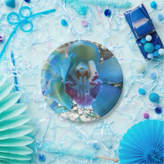 Assiettes En Carton Donella (Fête)