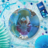 Assiettes En Carton Donella (Fête)