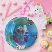 Assiettes En Carton Donella (Fête)