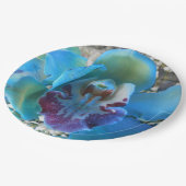 Assiettes En Carton Donella (Angle)