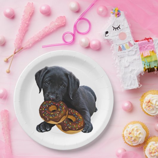 Assiettes En Carton Donuts - Black Lab - Black Lab (Fête)