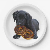 Assiettes En Carton Donuts - Black Lab - Black Lab (Devant)