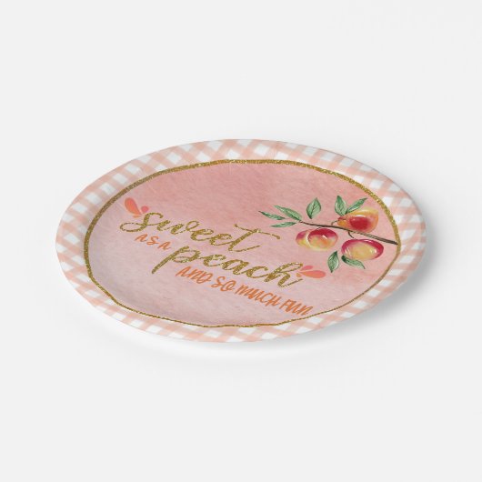 Assiettes En Carton Doux comme une plaque de pêche - En vichy (P) (Angle)