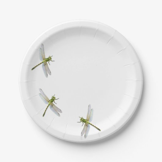 Assiettes En Carton Dragonfly's (Devant)