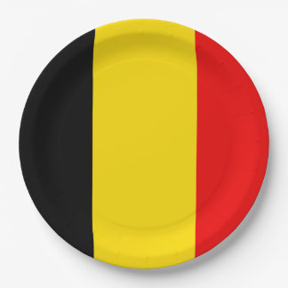 Assiettes En Carton Drapeau de Belgique