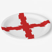 Assiettes En Carton Drapeau de Bourgogne (Angle)