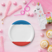Assiettes En Carton Drapeau de Crimée (Fête)