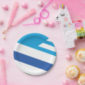 Assiettes En Carton Drapeau de Dayton, Ohio (Fête)