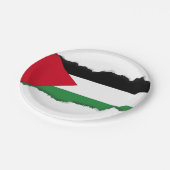 Assiettes En Carton Drapeau de la Palestine (Angle)
